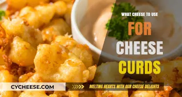 Cheese Curds: Choosing the Right Cheese for Your Taste