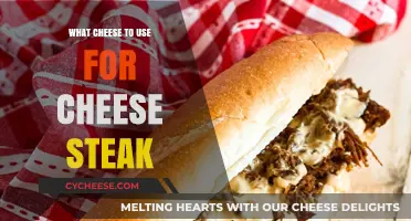Cheese Steaks: Choosing the Perfect Cheese