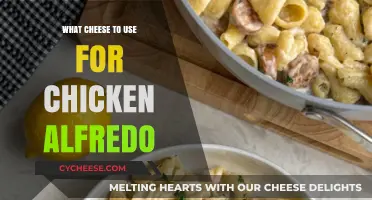 The Best Cheeses for Chicken Alfredo: A Guide