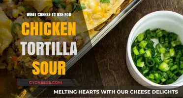 Cheese Chicken Tortilla Soup: The Best Cheesy Comfort