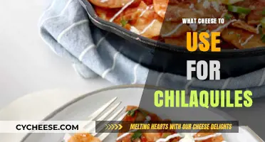 Cheese for Chilaquiles: Melty, Stretchy, and Savory