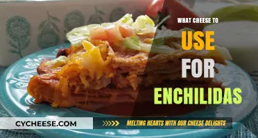 Cheese for Enchiladas: Melty, Stretchy, and Perfectly Gooey