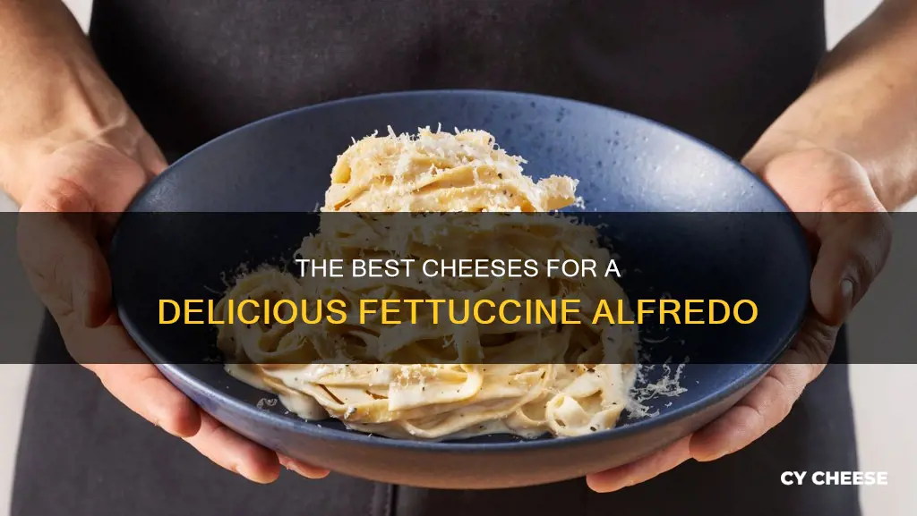 what cheese to use for fettuccine alfredo