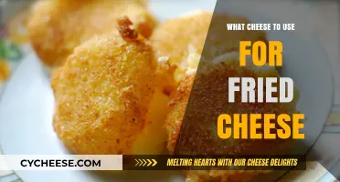 The Best Cheeses for Frying: A Guide