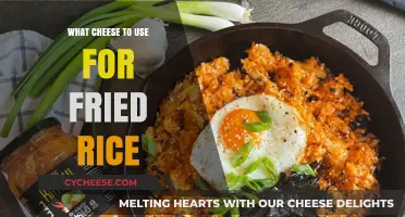 Cheese and Fried Rice: The Perfect Pairing