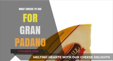 Gran Padano: The Perfect Cheese for Your Dish