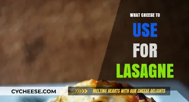Cheese Options for the Perfect Lasagne