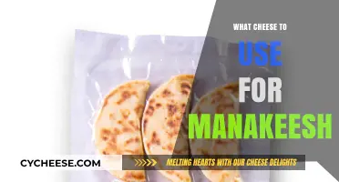 The Best Cheeses to Top Your Manakeesh