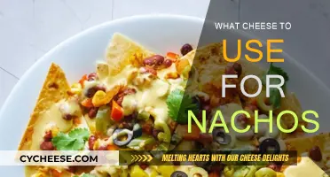 Ultimate Cheesy Nachos: Choosing the Perfect Cheese