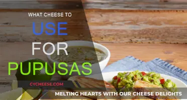 Cheese Options for Pupusas: A Quick Guide