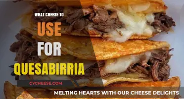 Best Cheeses for Your Quesabirria: A Melty Guide
