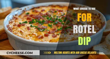 Cheese Options for Rotel Dip: Quick Guide