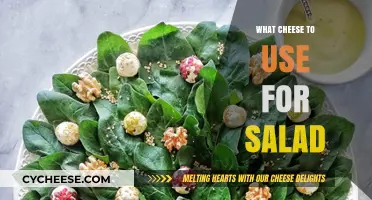 Cheese and Salad: The Perfect Pairing