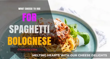 Best Cheeses for Spaghetti Bolognese: Elevate Your Pasta Dish