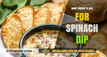 Cheese Options for Spinach Dip Perfection