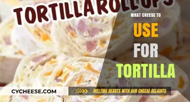 Tortilla Cheese: Melty, Stretchy, and Perfectly Gooey