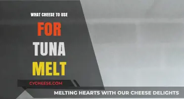 Cheese Options for a Perfect Tuna Melt