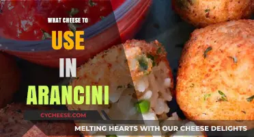 Cheese Choices for Arancini: Mozzarella, Parmesan, and More!