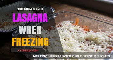 Best Cheeses for Freezer Lasagna: A Guide