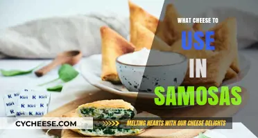 Cheese Samosas: Picking the Perfect Filling