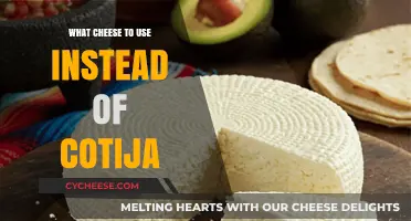 Cheese Alternatives: The Best Substitutes for Cotija