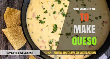 Best Cheeses for Queso: A Melty Guide