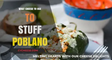 Cheese-Stuffed Poblanos: Picking the Perfect Cheesy Filling