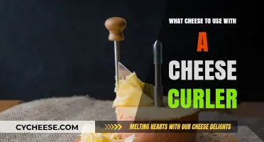 Cheese Curler: Which Cheeses Work Best?