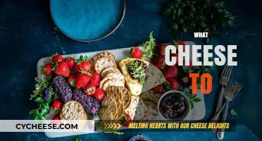 Discover the Perfect Cheese for Every Occasion and Dish