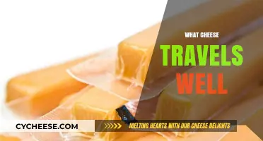 Best Cheeses for Travel: Durable, Delicious, and Easy to Pack