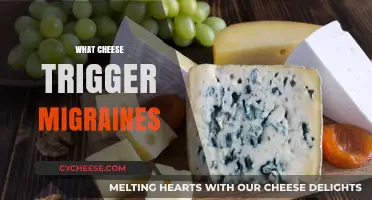 Cheese and Migraines: Uncovering the Triggers Behind the Pain