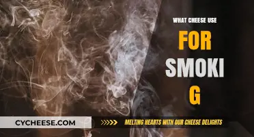 Best Cheeses for Smoking: A Beginner's Guide