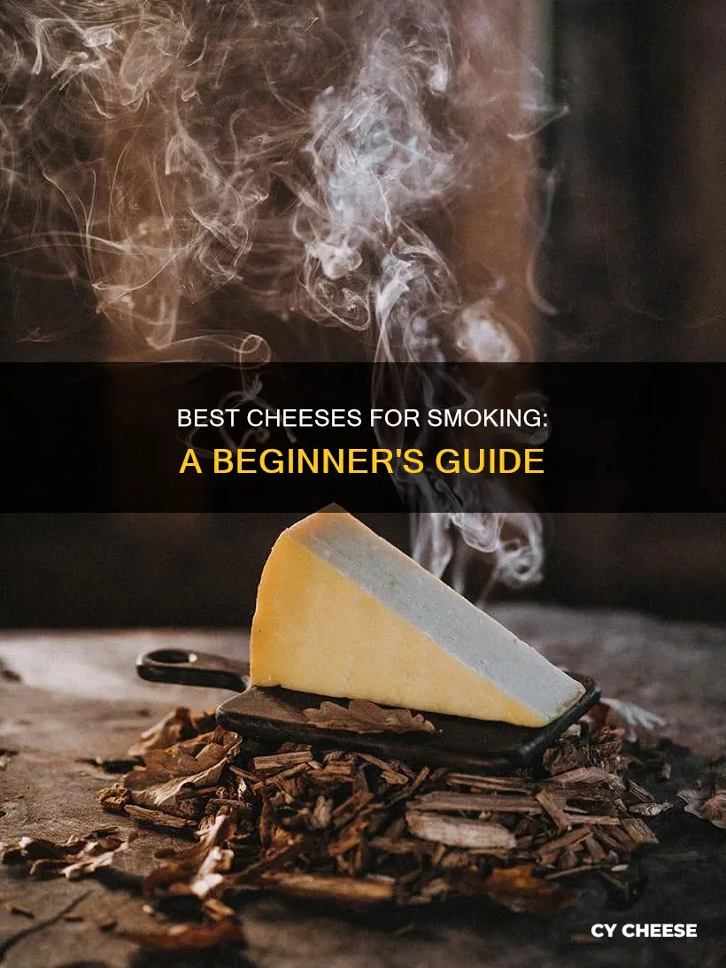what cheese use for smoki g