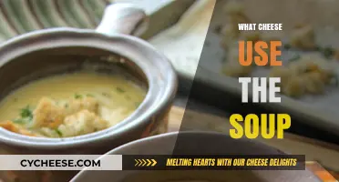 Cheese and Soup: Perfect Pairing