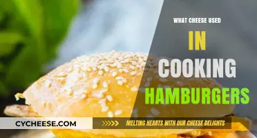 Best Cheeses to Top Your Hamburger