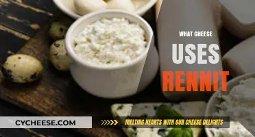 Rennet-Based Cheeses: A Guide to Traditional Favorites