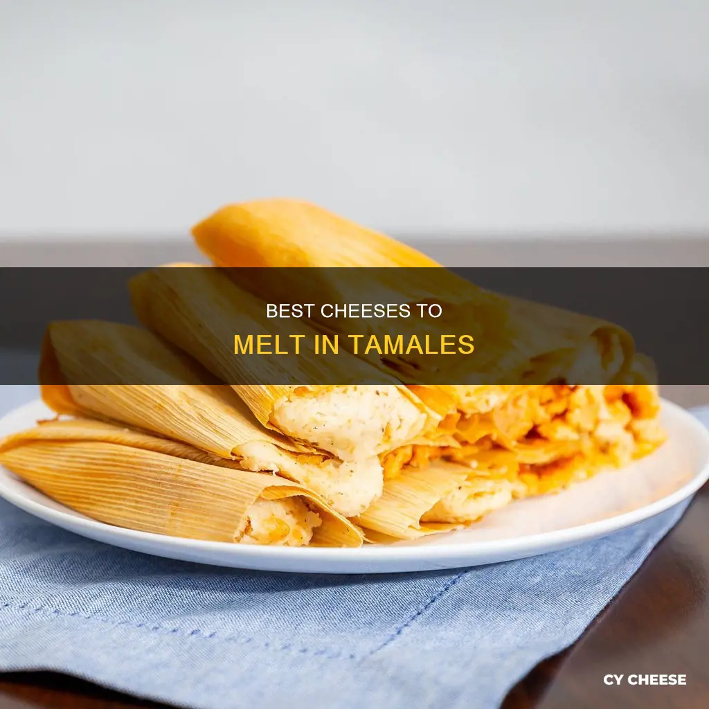 what cheese will melt in tamales