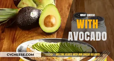 Avocado and Cheese Pairing: Creamy Combos for Delicious Snacks