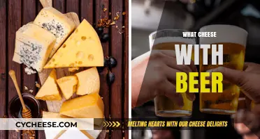 Perfect Pairings: Best Cheeses to Enjoy with Your Favorite Beers