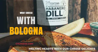 Perfect Pairings: Best Cheeses to Elevate Your Bologna Sandwich Game