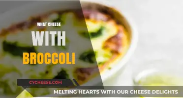 Perfect Cheese Pairings for Broccoli: Elevate Your Veggie Dish Today!