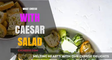 Perfect Cheese Pairings to Elevate Your Classic Caesar Salad Experience