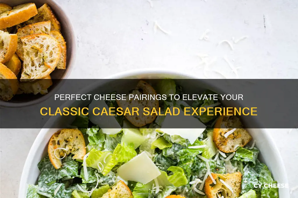 what cheese with caesar salad