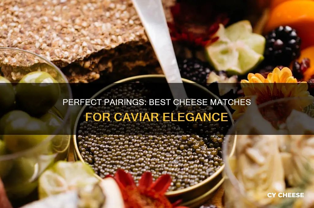 what cheese with caviar