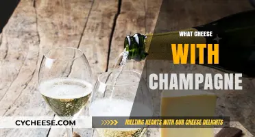 Perfect Pairings: Best Cheeses to Complement Your Champagne Celebration