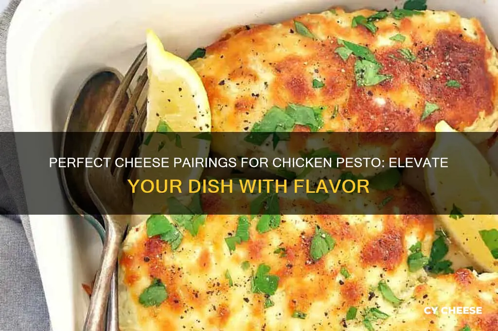 what cheese with chicken pesto