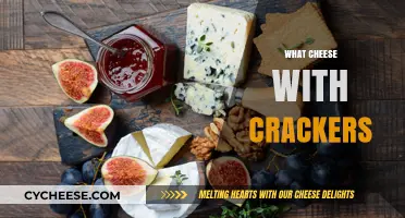 Perfect Pairings: Best Cheeses to Enjoy with Your Favorite Crackers
