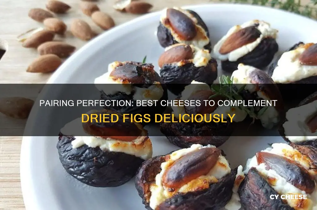 what cheese with dried figs