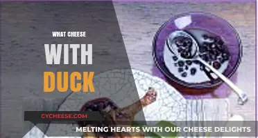 Perfect Cheese Pairings for Duck: Elevate Your Culinary Experience