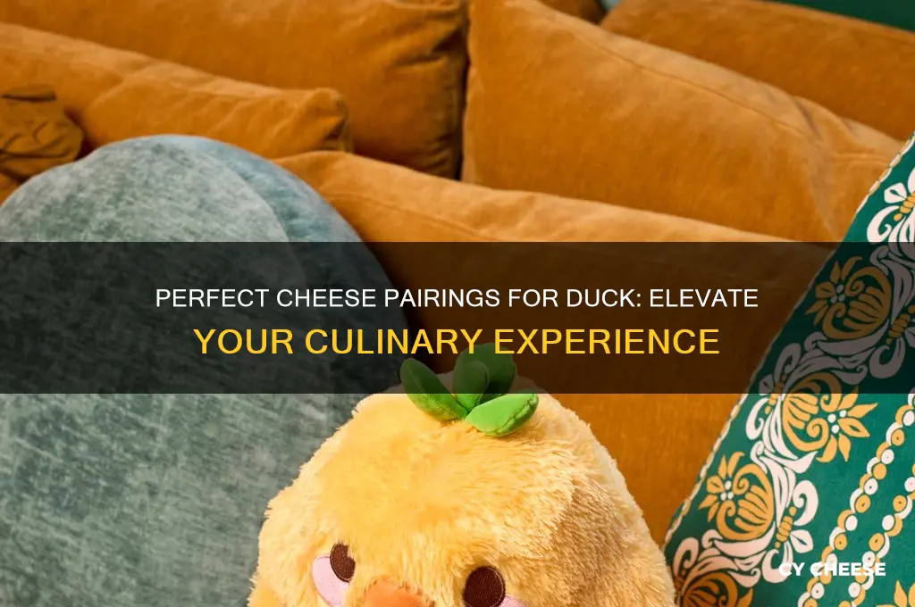 what cheese with duck